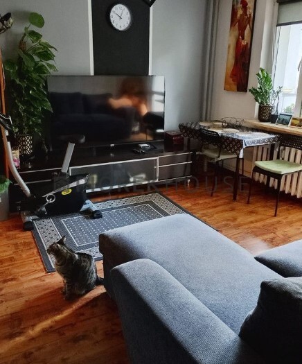 2-pokojowe mieszkanie na Pradze Południe miniaturka 10