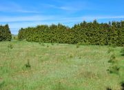Borowiec, 390 000 zł, 10.02 ar, inwestycyjna miniaturka 8