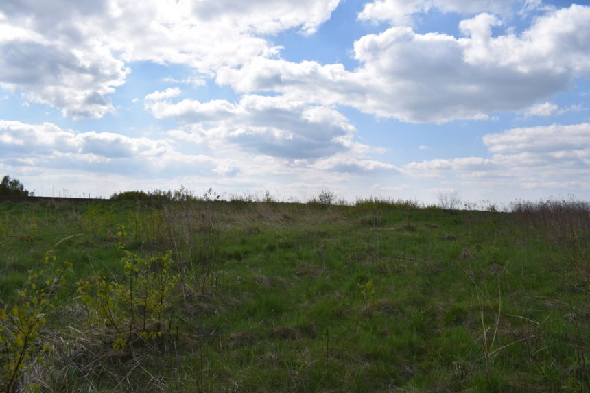 Działka rolno-budowlana 28a, Chmielnik miniaturka 3