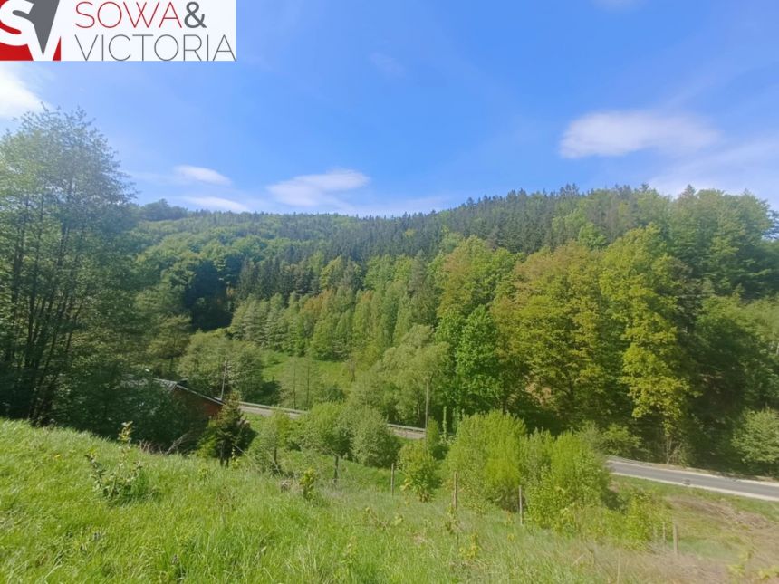 Widokowa działka w sąsiedztwie jeziora - ok 1 km miniaturka 7
