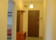 Duża Kawalerka blisko Uniwersytetu Szczecińskiego miniaturka 8