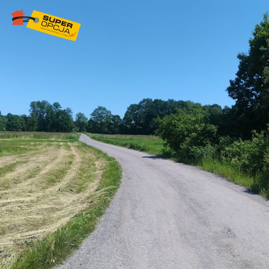 Mogilany, 1 215 000 zł, 38.1 ar, droga dojazdowa utwardzona miniaturka 2