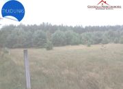 3 Działki w lesie Cegielnik miniaturka 1