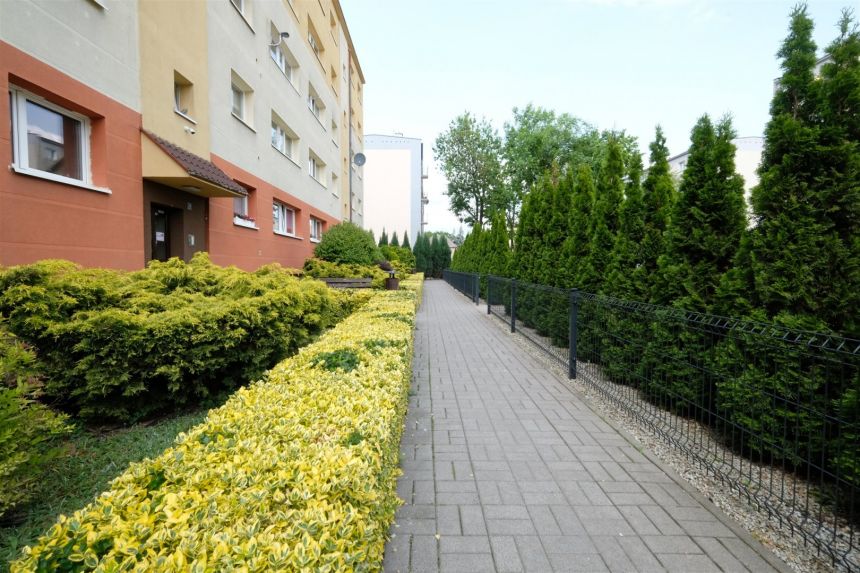 2 pokojowe z balkonem na Grunwaldzie miniaturka 3