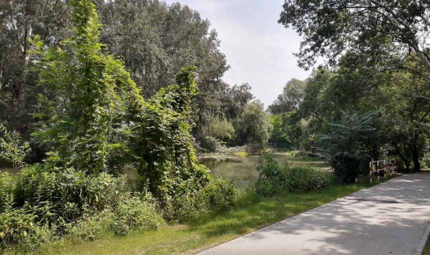 Piękny Apartament w uroczej, zielonej okolicy przy Oławce miniaturka 6