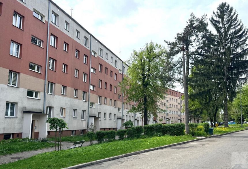 Kmiecie 3 pokojowe mieszkanie na parterze miniaturka 2