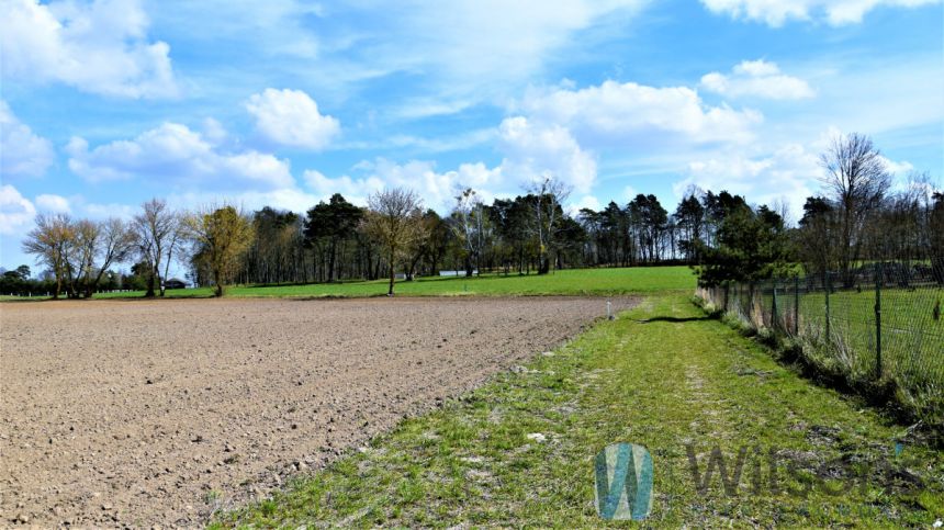 Henrysin, 300 000 zł, 30 ar, droga dojazdowa utwardzona miniaturka 2