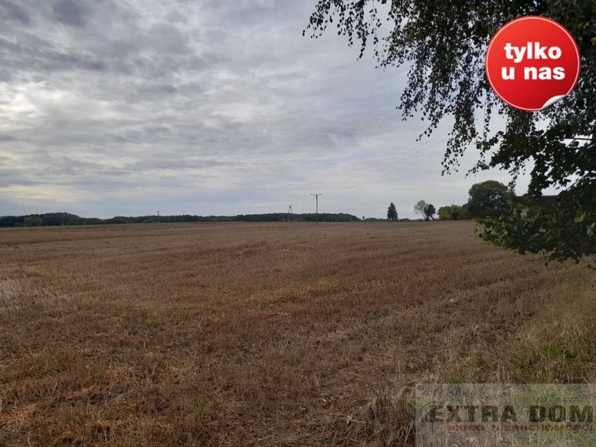 Trzebawie, 380 000 zł, 10.8 ha, droga dojazdowa asfaltowa miniaturka 6