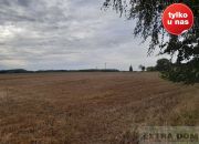 Trzebawie, 380 000 zł, 10.8 ha, droga dojazdowa asfaltowa miniaturka 6