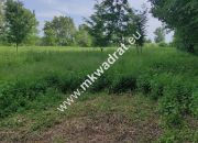Piękna z Bukową Aleją wydane WZ 4 km od Sochaczewa miniaturka 4