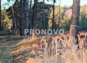 Nieruchomość gruntowa Szczecin Wielgowo Żywiczna miniaturka 8