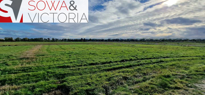 Działka budowlana w obrębie Cierni. Świebodzice. miniaturka 6