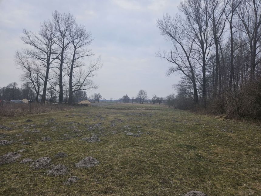 Sanie, 750 000 zł, 2.51 ha, przyłącze prądu miniaturka 8