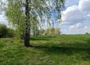DOM Z CEGŁY, Z WŁASNĄ LINIĄ BRZEGOWĄ 200 M! miniaturka 7
