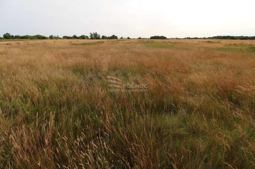 Działki nad morzem w okazyjnej cenie miniaturka 4