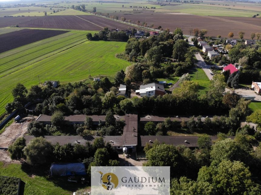 Hala 1500 m2 | Martąg miniaturka 4