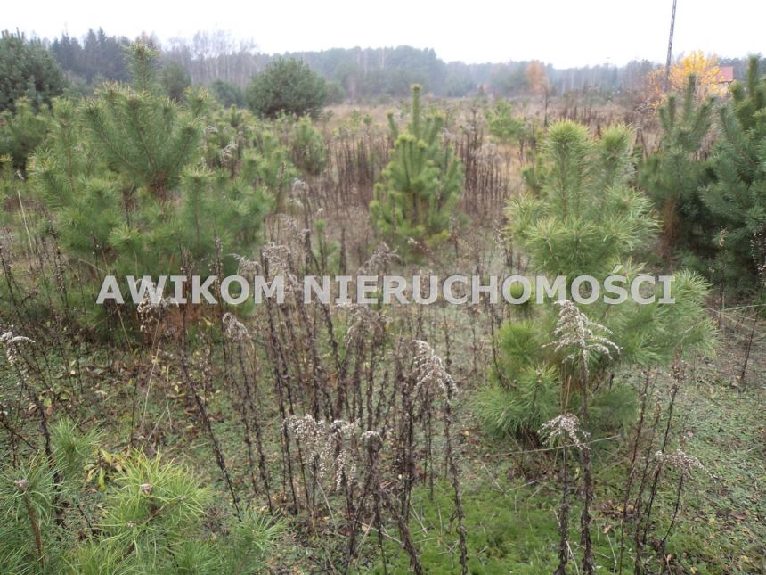 Grzegorzewice, 5 500 000 zł, 2.55 ha, przyłącze wodociągu miniaturka 2