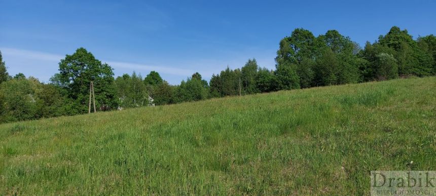 Enklawa ciszy i zieleni w pobliżu Jez.Mucharskiego miniaturka 7