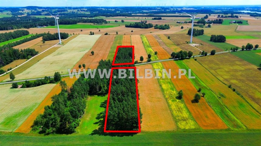 Kup działkę leśną w ładnej okolicy ! - zdjęcie 1