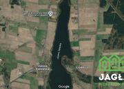 Dziłki w pierwszej lini brzegowej Zalesie Królews. miniaturka 4
