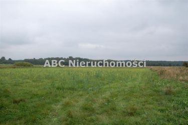 Płytnica, 420 000 zł, 2.8 ha, rolna