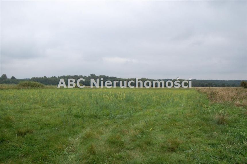 Płytnica, 420 000 zł, 2.8 ha, rolna - zdjęcie 1