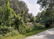 Piękny Apartament w uroczej, zielonej okolicy Krakowska /Przedmieście Oławskie miniaturka 3