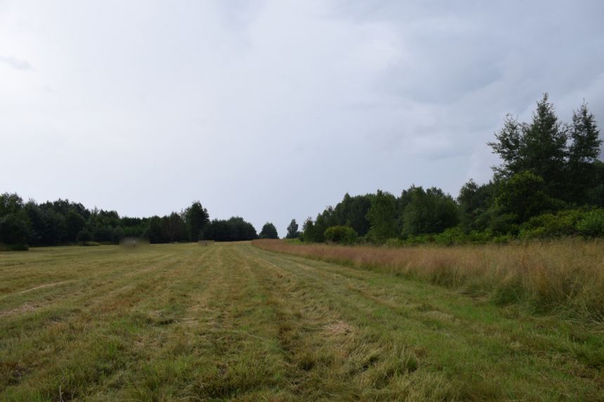 Działka budowlana 39a w Budach Głogowskich miniaturka 5