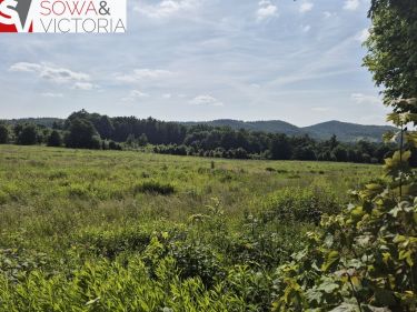 Nowy Julianów. Świetnie skomunikowana działka.