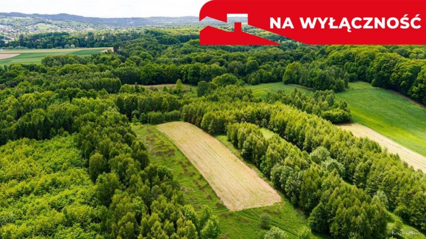 Działka rolna - 4677 m² Skrzyszów miniaturka 3