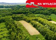 Działka rolna - 4677 m² Skrzyszów miniaturka 3