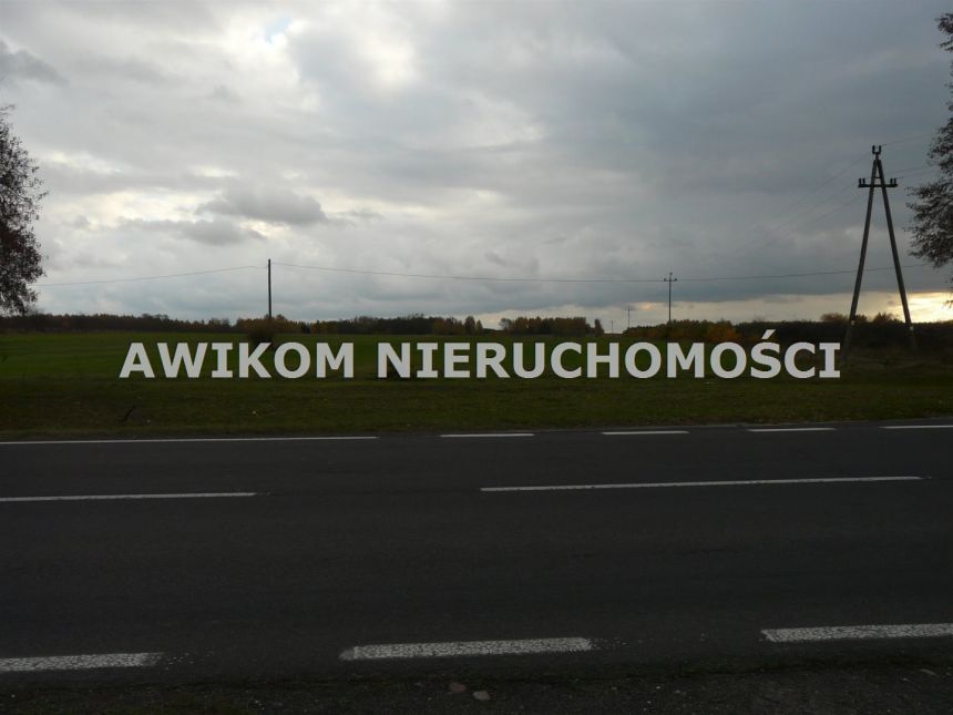 Lisowola, 583 400 zł, 5.83 ha, rolna miniaturka 6