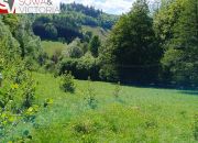 Rozległa działka przy lesie,  1 km od jeziora miniaturka 3