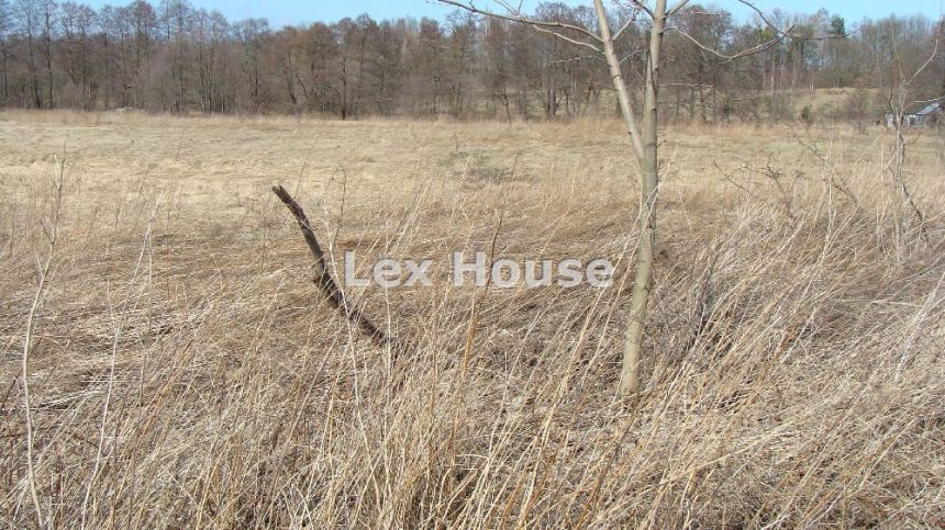Marszewo, 858 000 zł, 1.43 ha, woda w drodze miniaturka 4