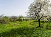 Duża  widokowa działka Łazany miniaturka 18