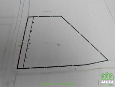 Nowa Wioska 3520m2 działki z WZ na dwa domy las