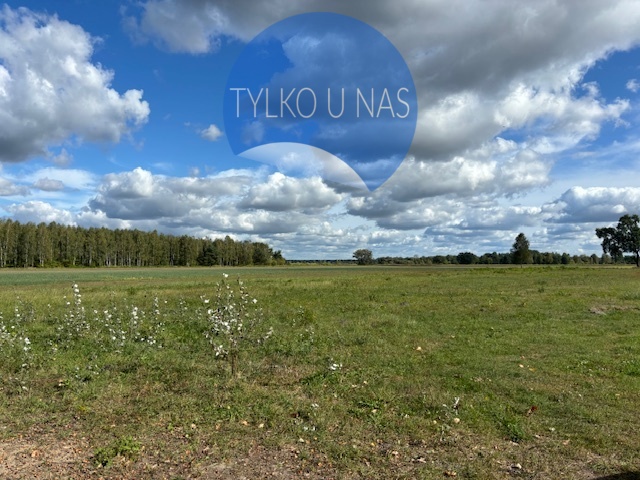 Działka siedliskowa 1,4 ha koło Radzymina - zdjęcie 1