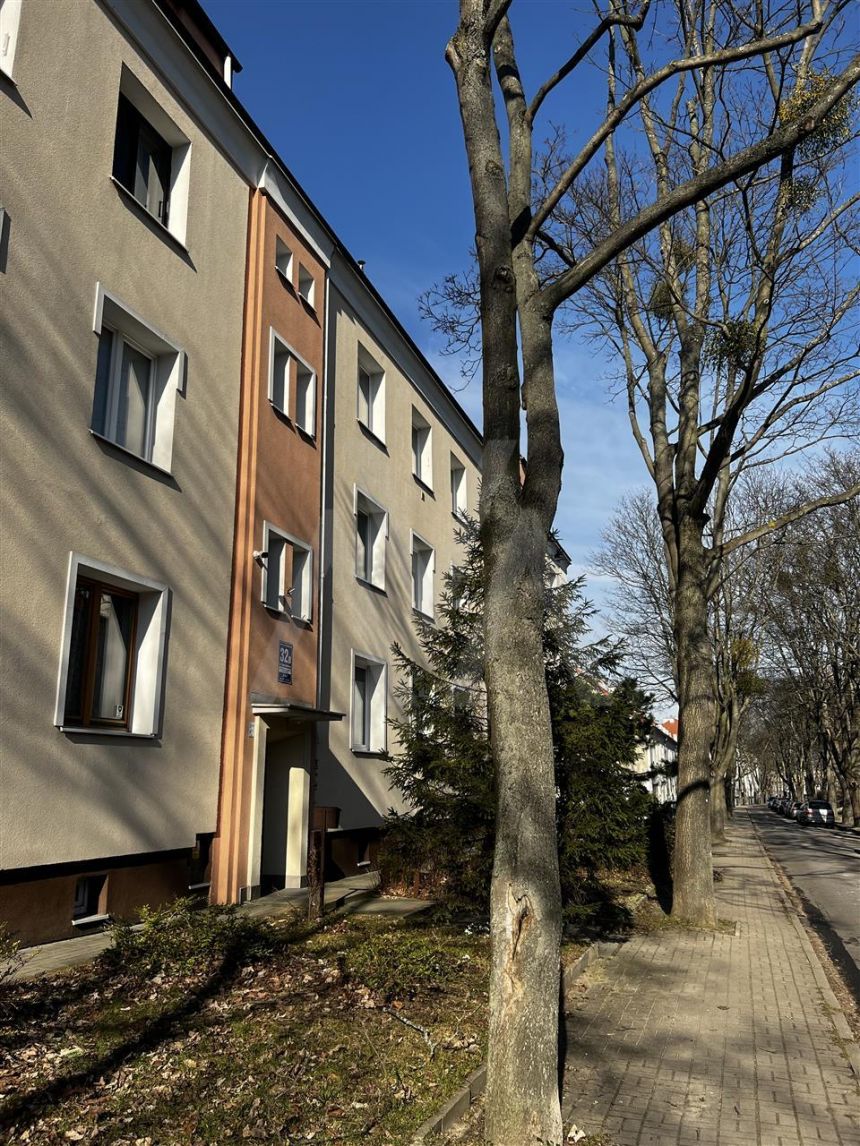 Wolne od lipca 2025 roku miniaturka 5