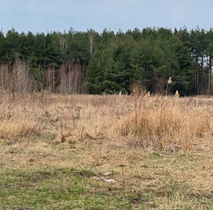 Działka budowlana 4113 m² w Sierakowie. miniaturka 2