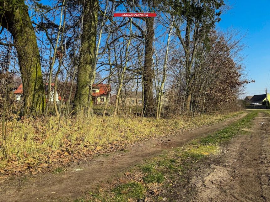 Siedlisko, 57 000 zł, 33 ar, rolna miniaturka 9