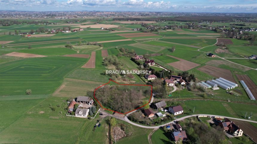 Wola Batorska, gmina Niepołomice. - zdjęcie 1