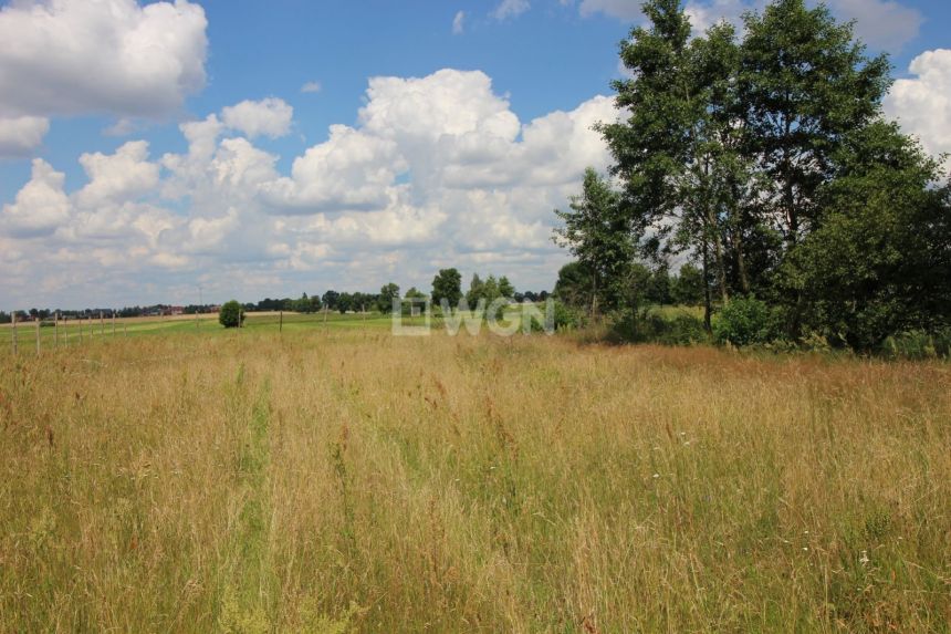 Czarnocin, 99 000 zł, 64 ar, bez nasadzeń miniaturka 9