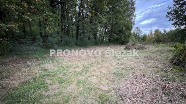 Sprzedam działkę budowlaną Siemianice k.Obornik Śl