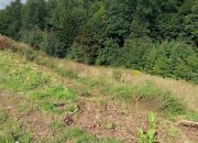 Wałbrzych Podgórze, 154 000 zł, 19.28 ar, kanalizacja w drodze miniaturka 5