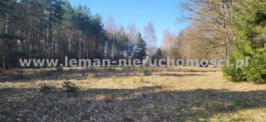 Ryki Julin, 290 000 zł, 55.39 ar, woda w drodze