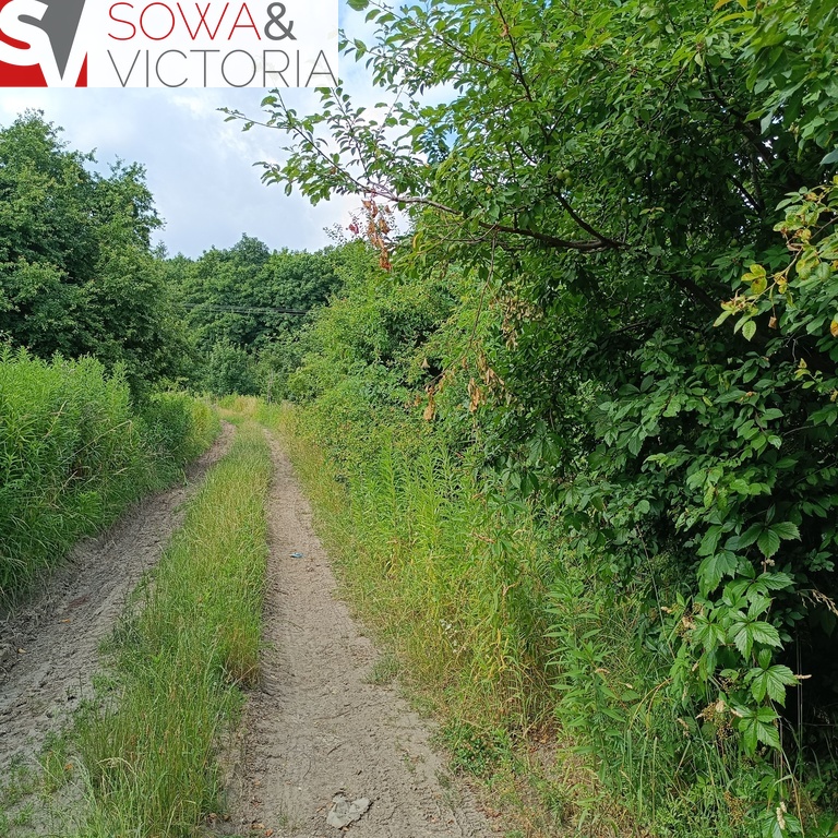 Działka rolna na obrzeżach Świebodzic. miniaturka 5