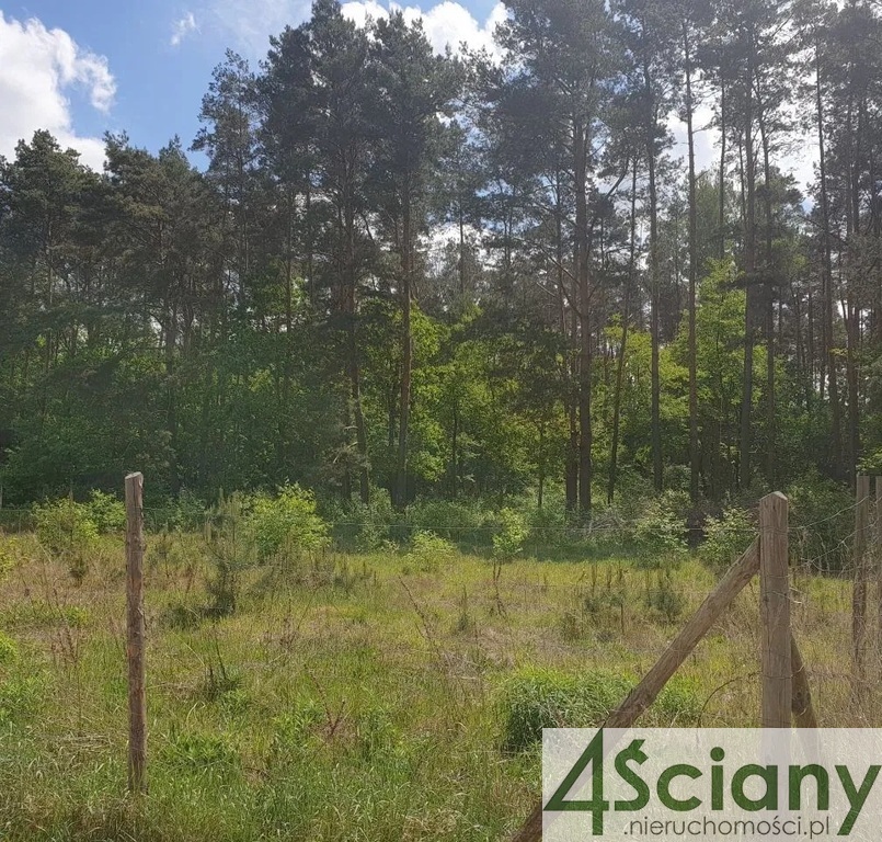 Strzeniówka, 765 000 zł, 20 ar, w kształcie trapezu - zdjęcie 1