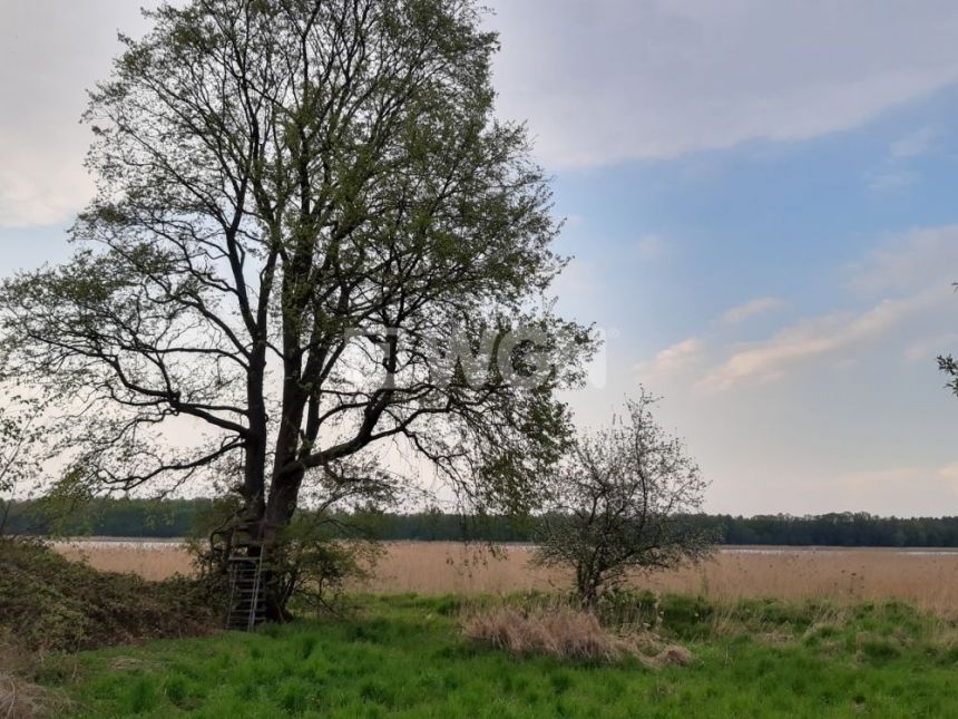 Ostaszów, 250 000 zł, 42 ar, budowlana miniaturka 4