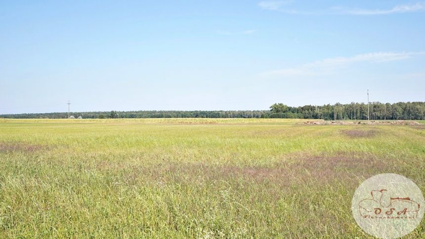 1,4 ha możliwość podziału 11 km Mosina miniaturka 2