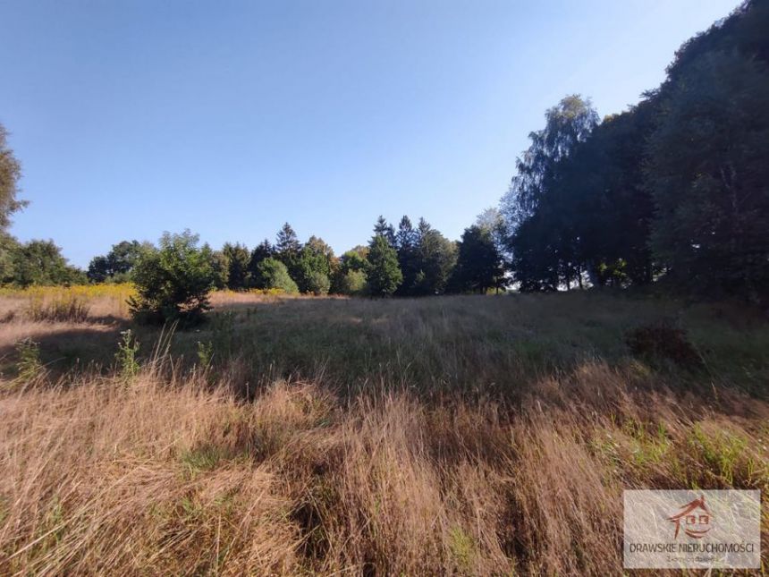 Siemczyno 275 000 zł 1.3 ha miniaturka 8
